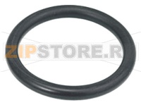 OR GASKET 6175