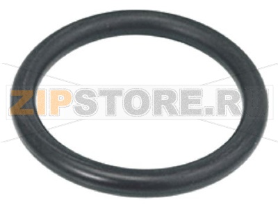 OR GASKET 6175 
