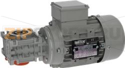 GEAR MOTOR TRANSTECNO TS6324B14 