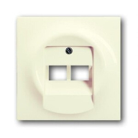 Накладка для двухпостовой розетки с полем для надписи ABB 2CKA001753A0083