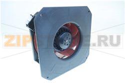 Fan motor 