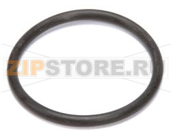 O RING; FKM (A 224) 