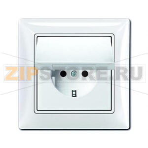 Розетка ABB 2CKA002018A1505 