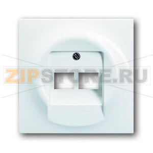 Накладка для двухпостовой розетки с полем для надписи ABB 2CKA001753A9004 