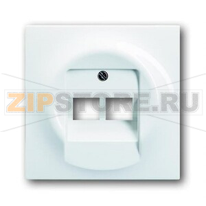 Накладка для двухпостовой розетки с полем для надписи ABB 2CKA001753A9004 