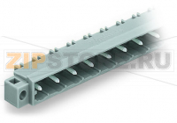 MCS MIDI Classic Вилка THT; 1.0 x 1.0 mm solder pin; угловые; зажимное кольцо; Шаг контактов 7,5 мм; 10-пол.; серые Wago 231-840/040-000
