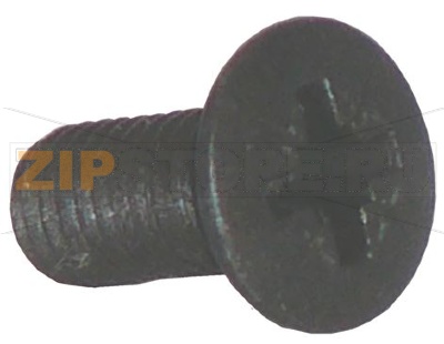 VITE A TESTA SVASATA M5x12 