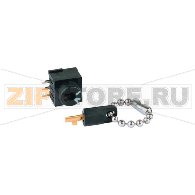 Переключатель ключевой 0.5 А, 60 В DC/AC, 1 x вкл/вкл, 56°, 1 шт Mentor 1859.1031 