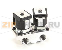 VALVE,GAS DUAL PORT 120 VAC MKG 