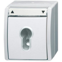 Выключатель двухполюсный с ключом, IP44, альпийский белый ABB 2CKA001101A0924