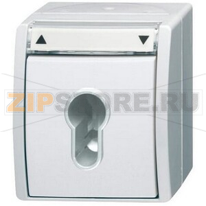 Выключатель двухполюсный с ключом, IP44, альпийский белый ABB 2CKA001101A0924 