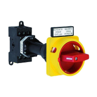 Выключатель 40 А, 1x90°, 1 шт Sälzer H233-41300-281M4