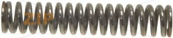 SPRING ø 8.5xh43 mm 