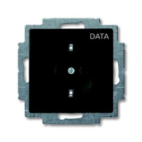 Розетка ABB 2CKA002011A6143