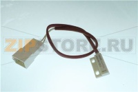 MAGNETIC SENSOR REED