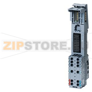 SIMATIC ET 200SP, БАЗОВЫЙ БЛОК BU20-P6+A2+4B, ТИП С1, КЛЕММЫ PUSH-IN, 2 ДОП. КЛЕММЫ, ПОДКЛЮЧЕНИЕ К СУЩ. НАГРУЗОЧНОЙ ГРУППЕ (БАЗОВОГО БЛОКА СЛЕВА), ШXВ: 20ММX117ММ Siemens 6ES7193-6BP20-0BC1 