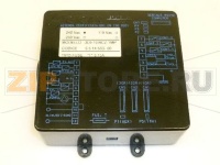 CENTRALINA 3d5 1GRCZ-TEMPORIZZATA 240V