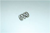 STEAM WATER OUTLET TAP SPRING
