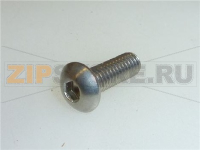 VITE A TESTA BOMBATA M4x10 