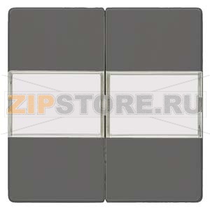 DELTA I-SYSTEM ЧЕРНЫЙ МЕТАЛЛИК ВЫКЛЮЧАТЕЛЬ 2 КЛАВИШИ С ПОЛЕМ ДЛЯ НАДПИСИ 55X55MM Siemens 5TG6232 