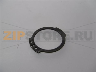 ANELLO SEEGER 