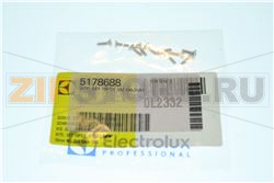 VITE; SET 10PCS; M2,9X9,5MM 