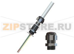 Кабельная муфта Cable Glands, Plastic CG.PEDS.M63.PA.C.18.K05 Pepperl+Fuchs Mechanical specificationsCable typenon-armored cablesClamping range (D)28 ... 44 mmSeal combination S135 ... 44 mmSeal combination S1+S228 ... 35 mmThread typemetric ISO pitch 1.5 mmThread size (TD)M63Degree of protectionIP66 / IP68MaterialEndcapsblackCable glandhigh impact-resistant polyamideWasher gasketflat chloroprene gasketSeal insertchloropreneMass93 gDimensionsWidth across corners (D2)72 mmDiameter thru-hole (DT)63 ... 63.3 mmLength outside enclosure (H)54 mmWidth across flats (SW1)65 mmWidth across flats (SW2)65 mmThread length (TL)18 mmTotal length (L)72 mmTightening torqueNut torque at enclosure (SW1)24 NmNut torque 2 with seal S1 (SW2)24 NmNut torque 2 with seals S1+S2 (SW2)22 NmAmbient conditionsAmbient temperature-40 ... 70 °C (-40 ... 158 °F)Data for application in connection with hazardous areasEU-Type Examination CertificateIMQ 15 ATEX 006 XMarking II 2 GD Ex e IIC Gb Ex tb IIIC DbInternational approvalsIECEx approvalIECEx IMQ 15.0001XEAC approvalTC RU C-TR.GB05.B.00918ConformityDegree of protectionEN 60529General informationDelivery quantity5Scope of deliveryCable glands brief instructions (1 copy)Supplementary informationEC-Type Examination Certificate, Statement of Conformity, Declaration of Conformity, Attestation of Conformity and instructions have to be observed where applicable. For information see www.pepperl-fuchs.com.AccessoriesSealing plugsBP.PDS.M63.PA