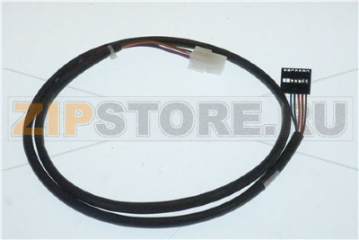 PROLUNGA GETTONIERA (MDB) 