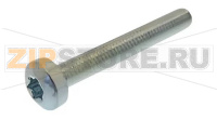 Винт TCB TORX 20 M4x30 zn-b Saeco Syntia Cappuccino