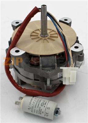 Motor monofasico eje CONICO  1 velocidad 