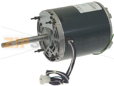 MOTOR 1/10HP 115V 50/60Hz 1,2/1A 