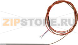 TEMPERATURE PROBE 