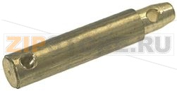 PERNO PROLUNGA MANOPOLA ø 8x6 mm 42 mm 