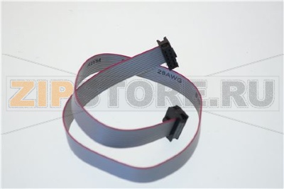 CAVO COLLEGAMENTO M5D 