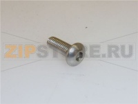 VITE A TESTA BOMBATA M4x12