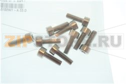 ВИНТ Т. ШЛИЦЕВОЙ TORX T20 M4X12 RATIONAL 10.01.776P 