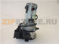 ASS.MACINACAFFE&#039;BRONZO CERAMICA+REG.230V 