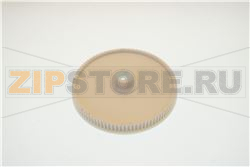 PULEGGIA 
