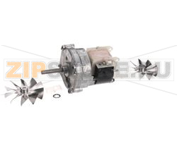 MOTORIDUTTORE, 220 - 240 V, 50 HZ, 6 