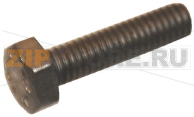 VITE A TESTA ESAGONALE - 10 Pz 