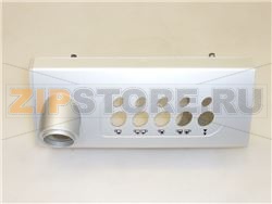 FRONTALINO SX SUPERIORE SE SILVER 