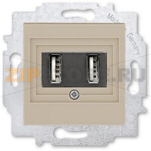 USB-розетка двойная, кофе макиато ABB 2CHH290040A6018 