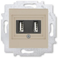 USB-розетка двойная, кофе макиато ABB 2CHH290040A6018
