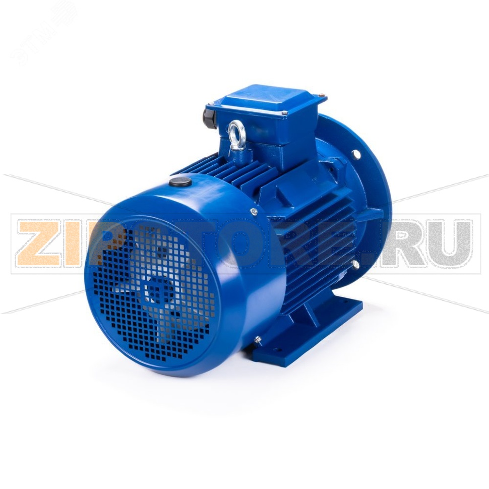Электродвигатель 3 кВт, 220/380 В, 3000 об/мин, IP55 ESQ 01.05.220467 