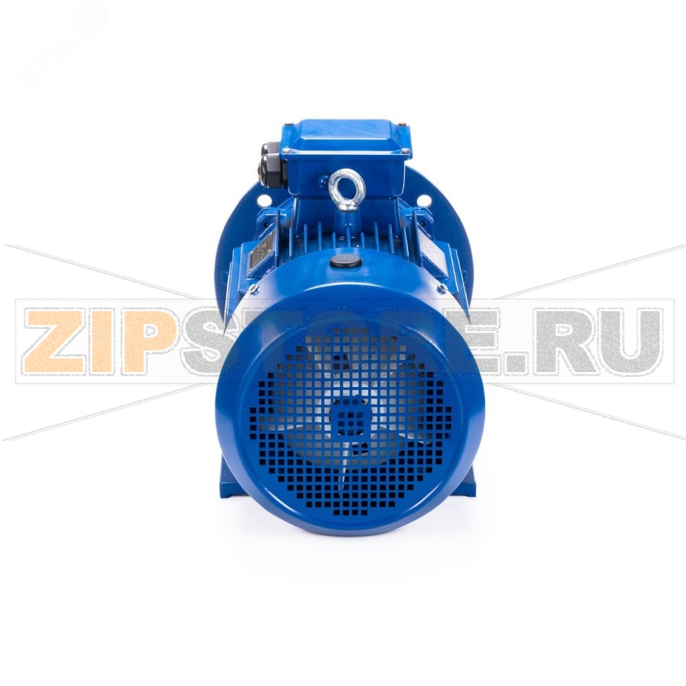 Электродвигатель 3 кВт, 220/380 В, 3000 об/мин, IP55 ESQ 01.05.220467 