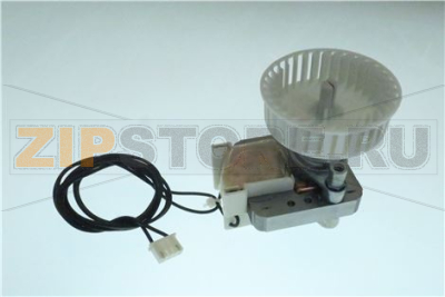 MOTOR+FAN 