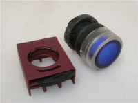 PULSANTE BLU