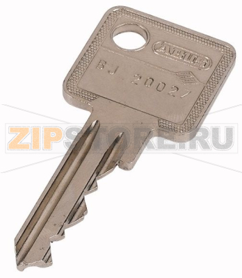 Ключ запасной для полуцилиндрических вставок Eaton KEY-E10/30-GS 