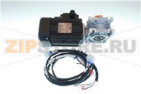 MOTO-RÉDUCTEUR CM030U25