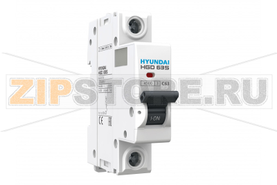 Выключатель автоматический модульный 1 А, 1 полюс, 4.5 кА Hyundai Electric HGD63S1PMBS0000C00001_C 